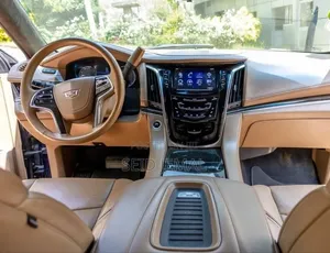 Cadillac Escalade 2018 Gray