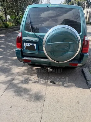 Mitsubishi Pajero 2007 Blue