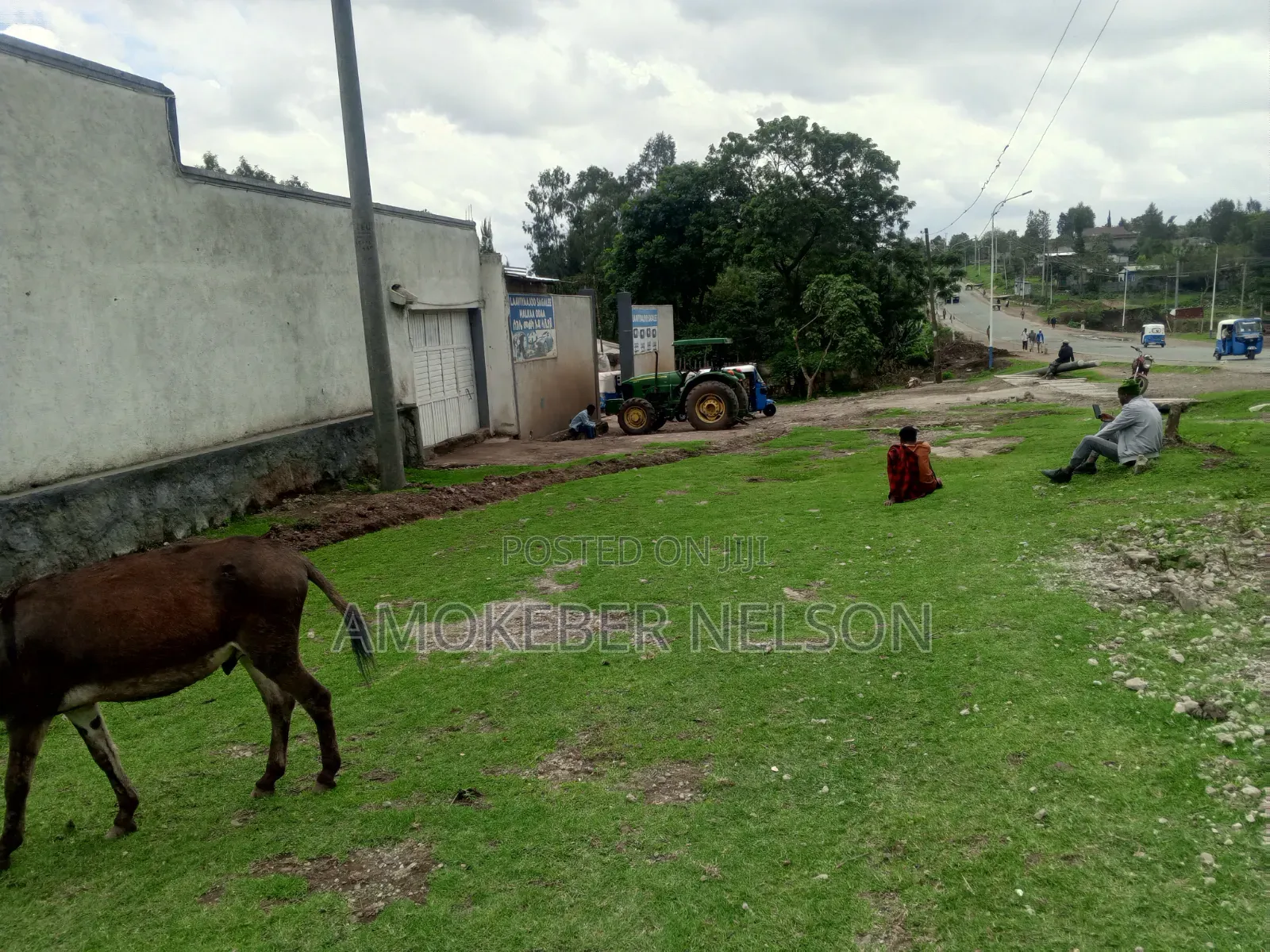 13bdrm House in West Arsi for sale
