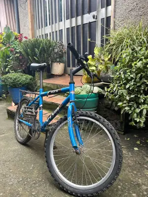 Band New Cycle