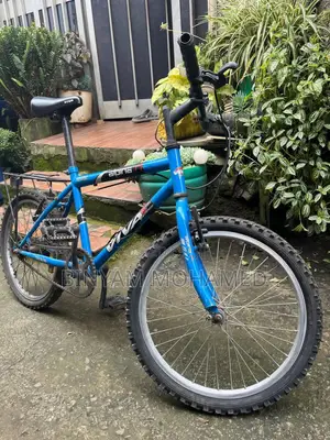 Band New Cycle