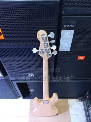 Bass Guitar
