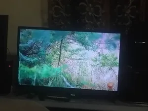 Leader Television