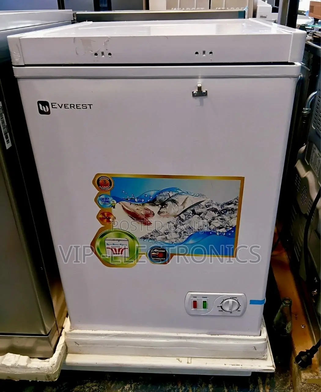 Everest Chest Freezer 170 With Front Temperature Control and Lock