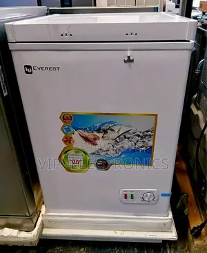 Everest Chest Freezer 170 With Front Temperature Control and Lock