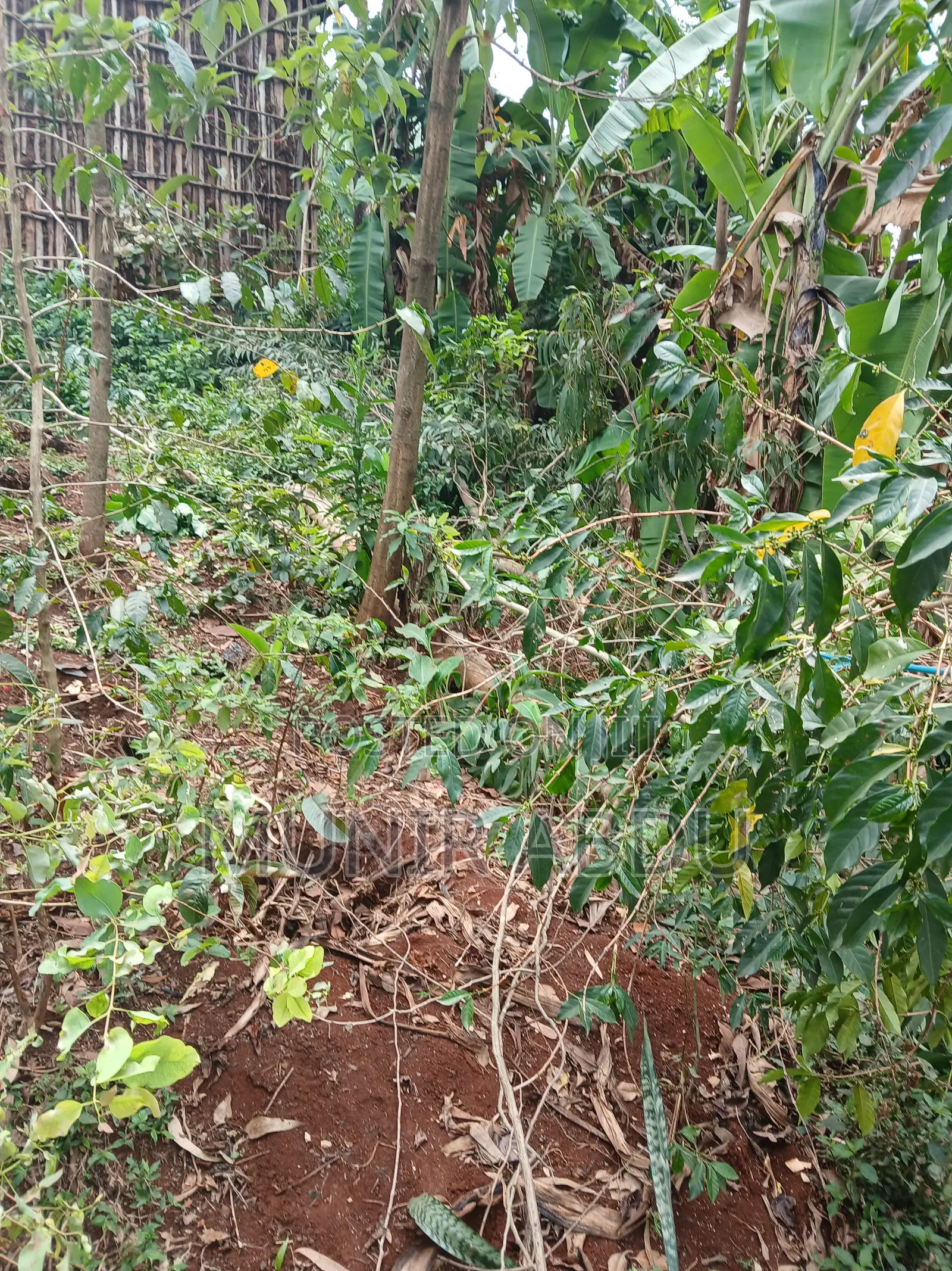 Land and Plots for Sale