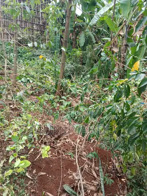 Land and Plots for Sale