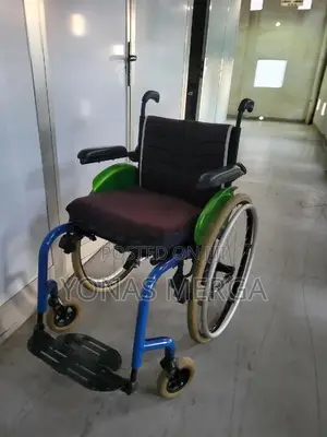 Europe wheelchair妏兼Inset Backrest to Facilitate Reach to Wheels