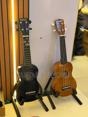 Ukululeguitar