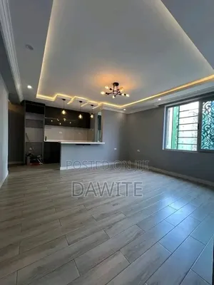 Furnished 4bdrm Apartment in የግል, Bole for sale