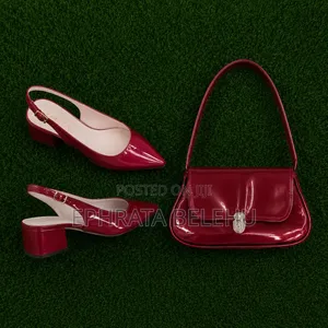 Women's Shoes and Bag Together