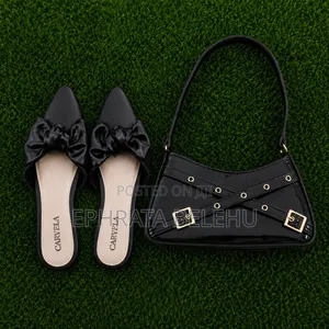 Flat Shoes and Handbag