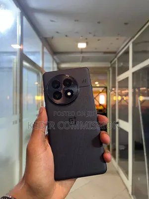 OnePlus 13 256 GB Gray