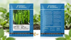 Bakker Brothers Seed