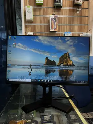 Dell P2419H 24-Inch Frameless Professional Monitor