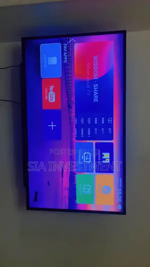 Television