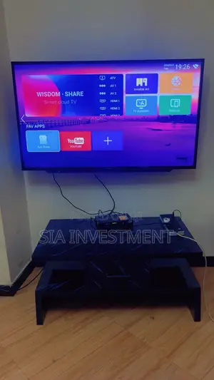 Television
