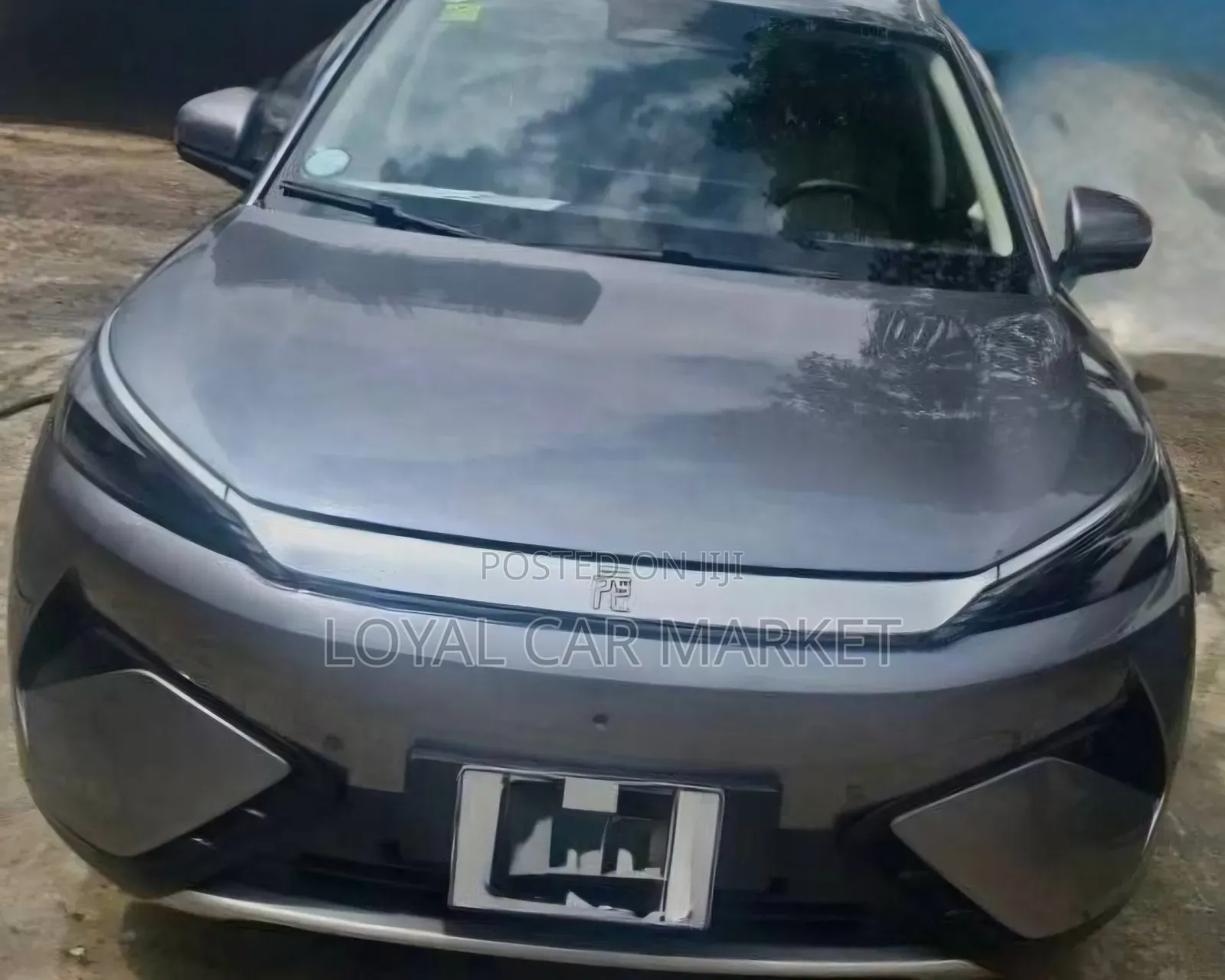BYD Yuan Plus 2025 Gray