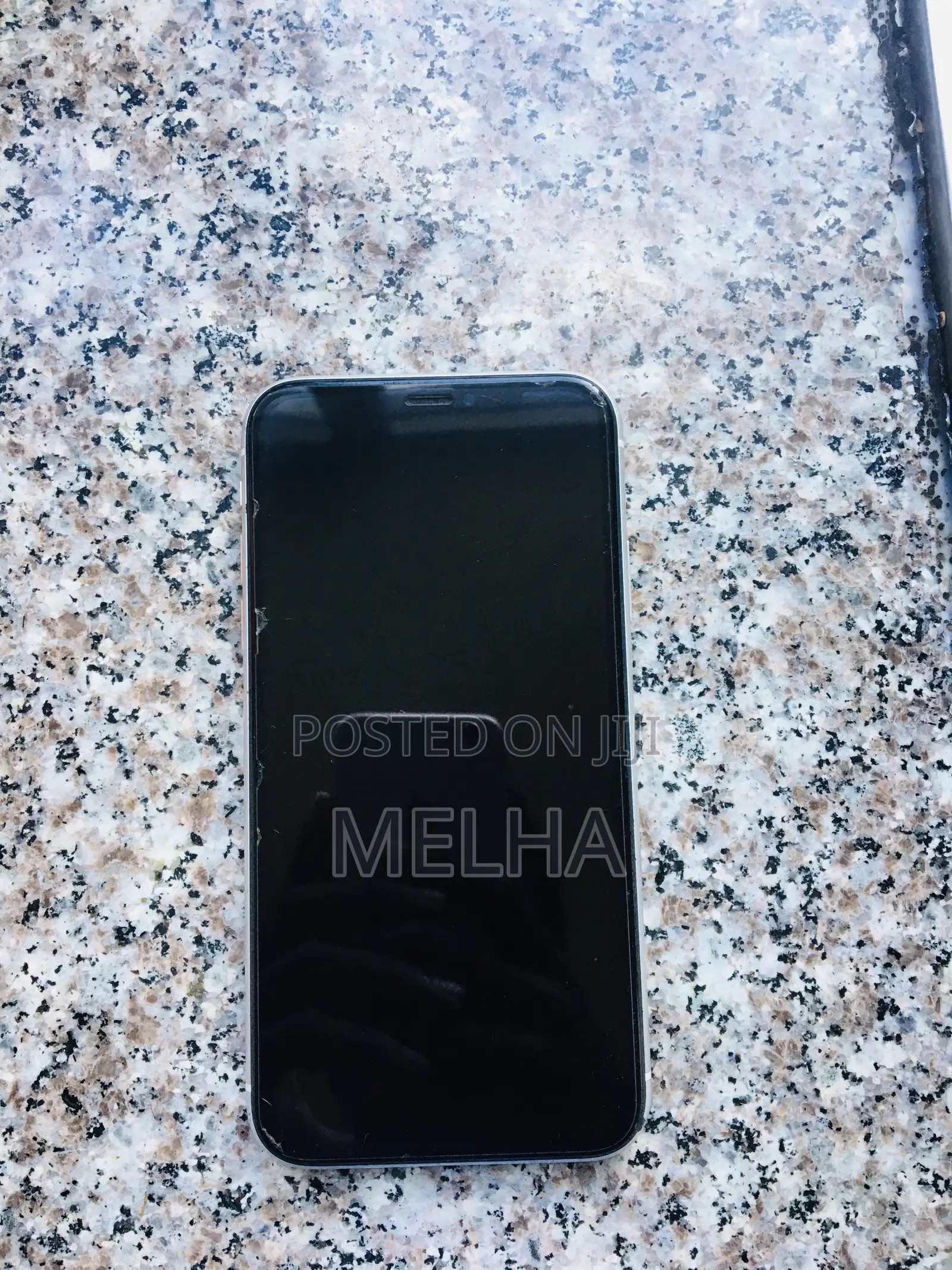 iPhone Xr Clean Housing