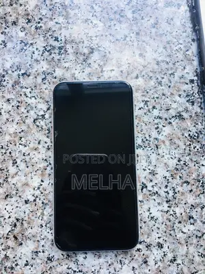 iPhone Xr Clean Housing