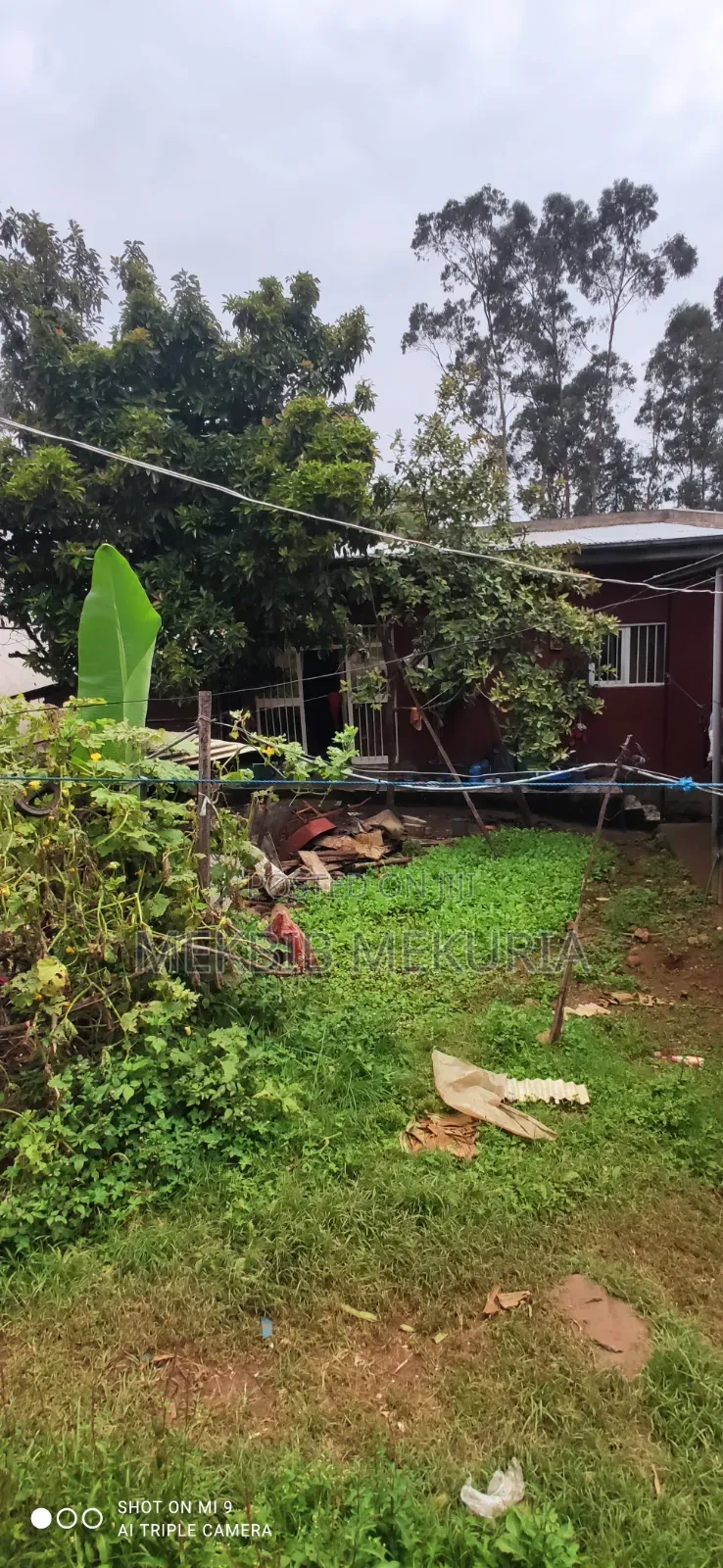 Furnished 3bdrm House in አሰለፈች በጋሻው እና ሴም, Kolfe Keranio for sale