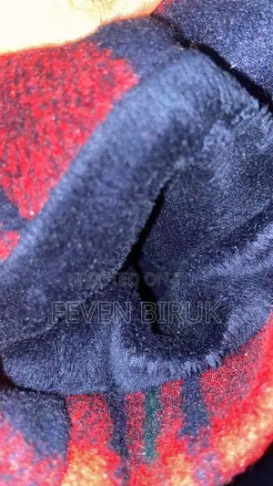 Garnet Hill Kids Coat