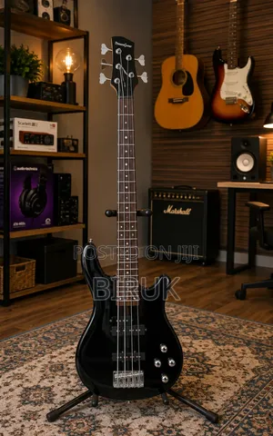 New Guitar