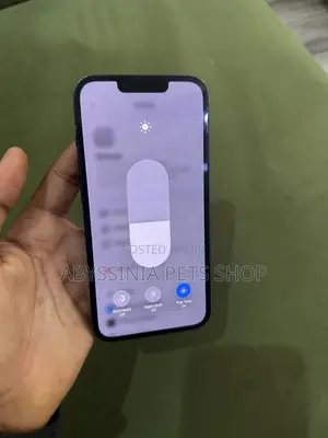 Apple iPhone 13 128 GB Blue