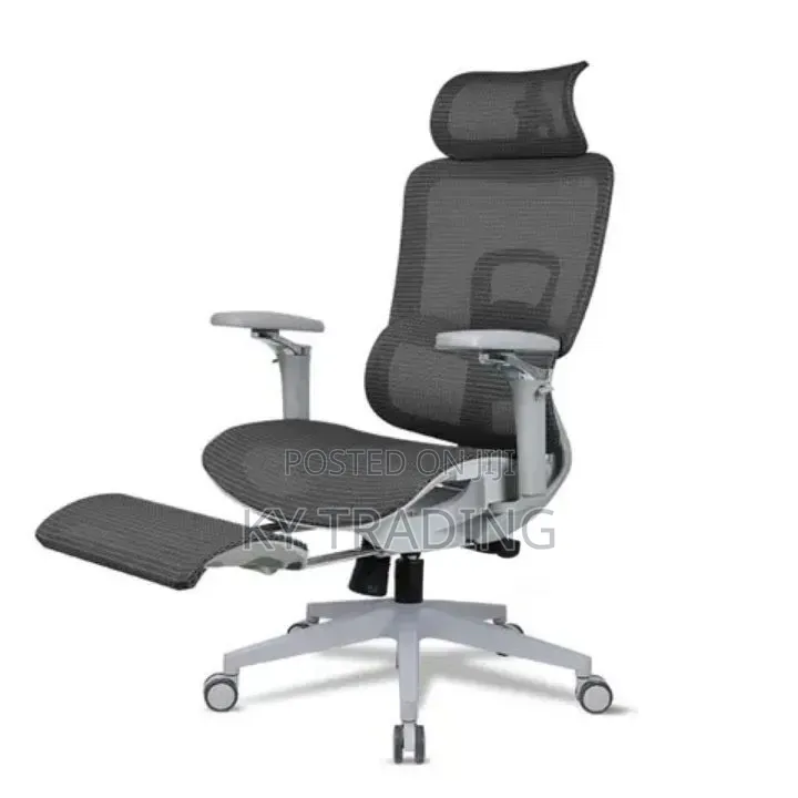 Flexible Arm, With Leg Rest Ergonomic Chair