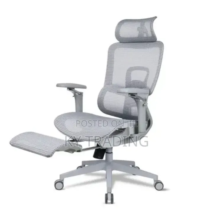 Flexible Arm, With Leg Rest Ergonomic Chair