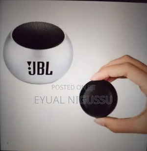 JBL Mini Speaker