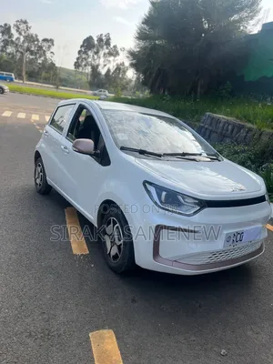 New JAC S1 2025 White
