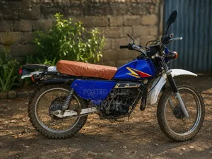 Suzuki 2006 Blue