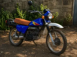 Suzuki 2006 Blue