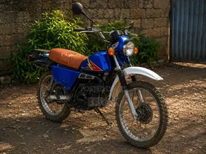 Suzuki 2006 Blue