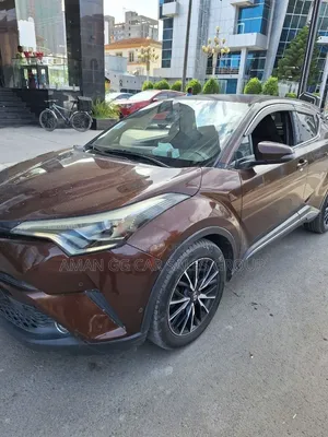 Toyota C-HR 2017 Brown