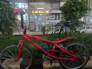 Saudi Arbia Bicycle