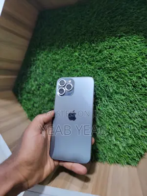 Apple iPhone 12 Pro Max 256 GB Silver