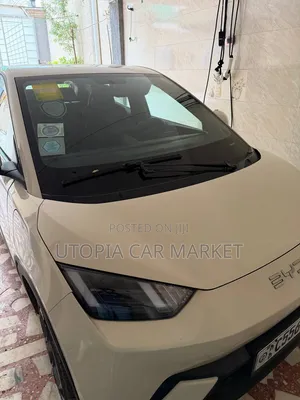 BYD Seagull 2024