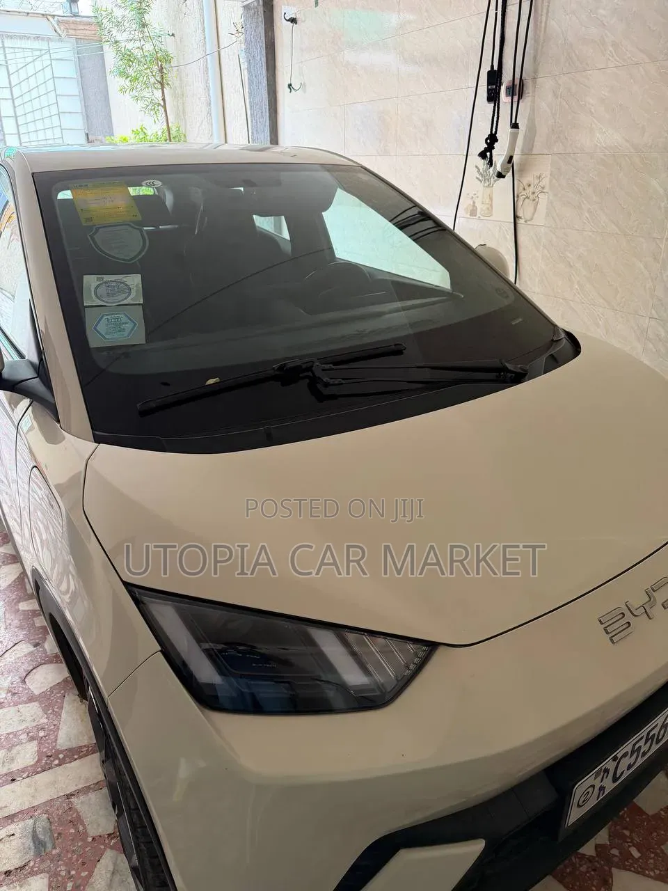 BYD Seagull 2024