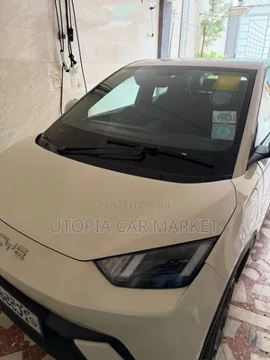 BYD Seagull 2024
