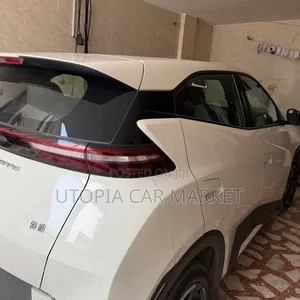 BYD Seagull 2024