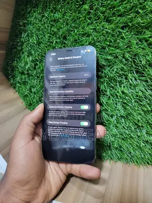 Apple iPhone 12 Pro Max 256 GB Silver