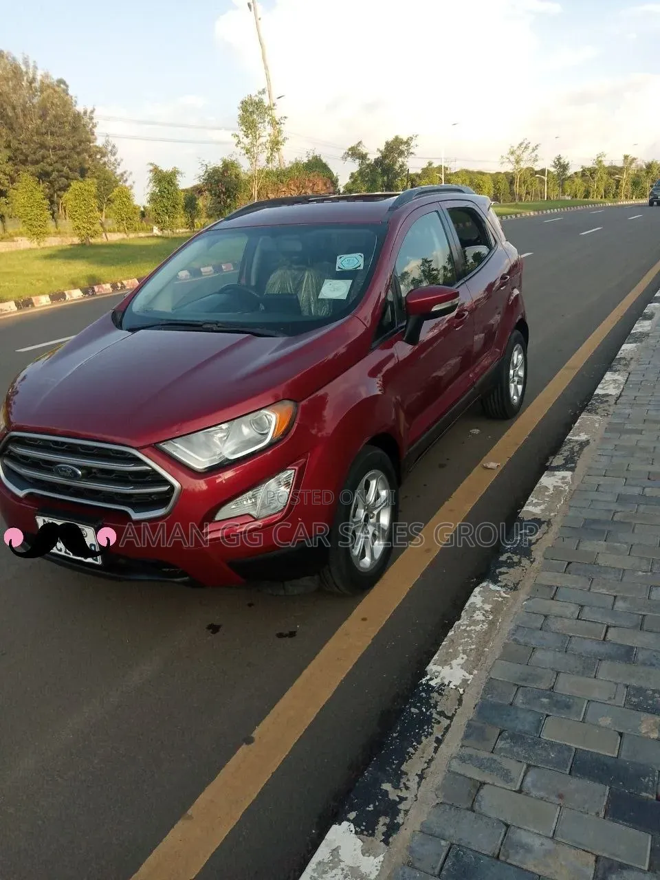 Ford Ecosport 2020 Burgundy