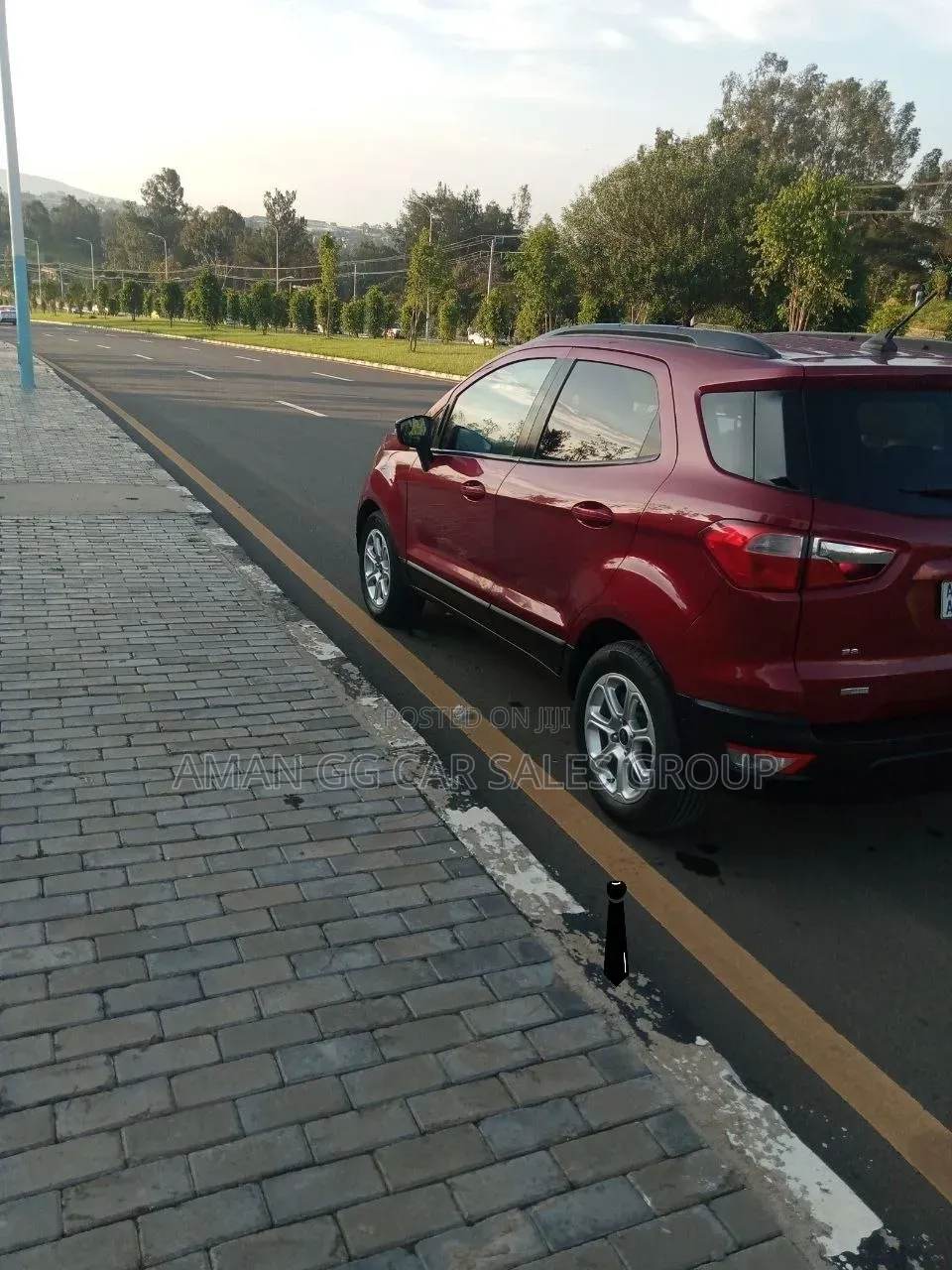 Ford Ecosport 2020 Burgundy