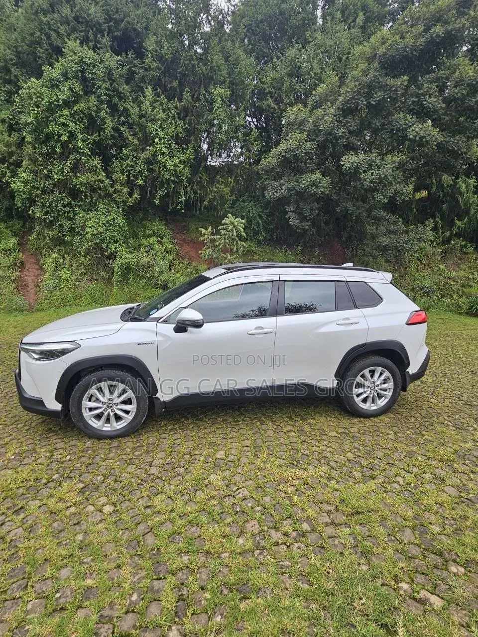 Toyota Corolla 2022 White