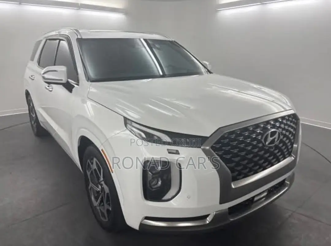 New Hyundai Palisade 2023 White