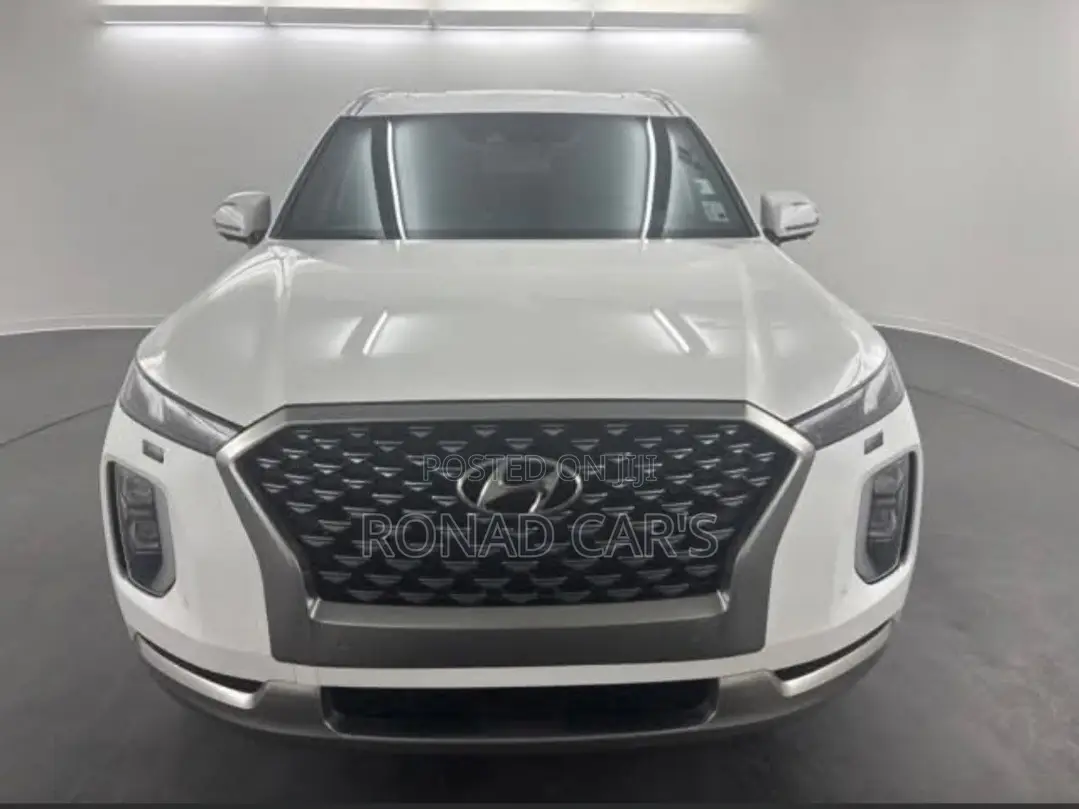 New Hyundai Palisade 2023 White