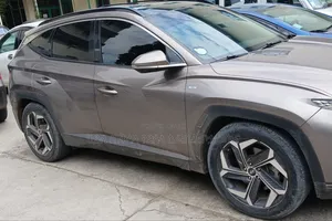 Hyundai Tucson Hybrid 2022 Pink