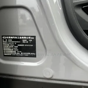 BYD Tang DM-i 2025 Purple